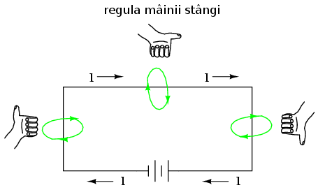 00307.png