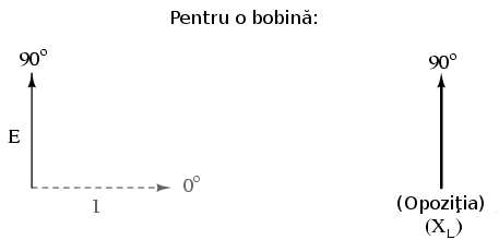 02061.png