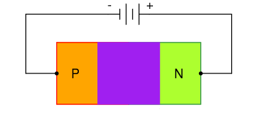 03251.png