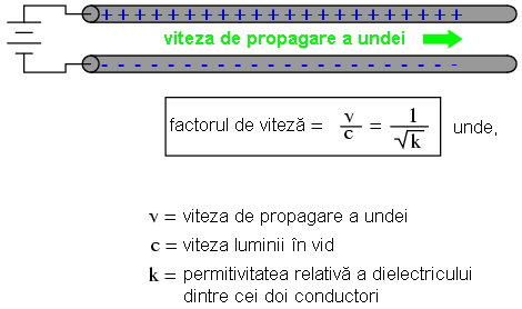 12148.png