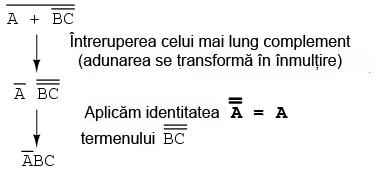 14046.png